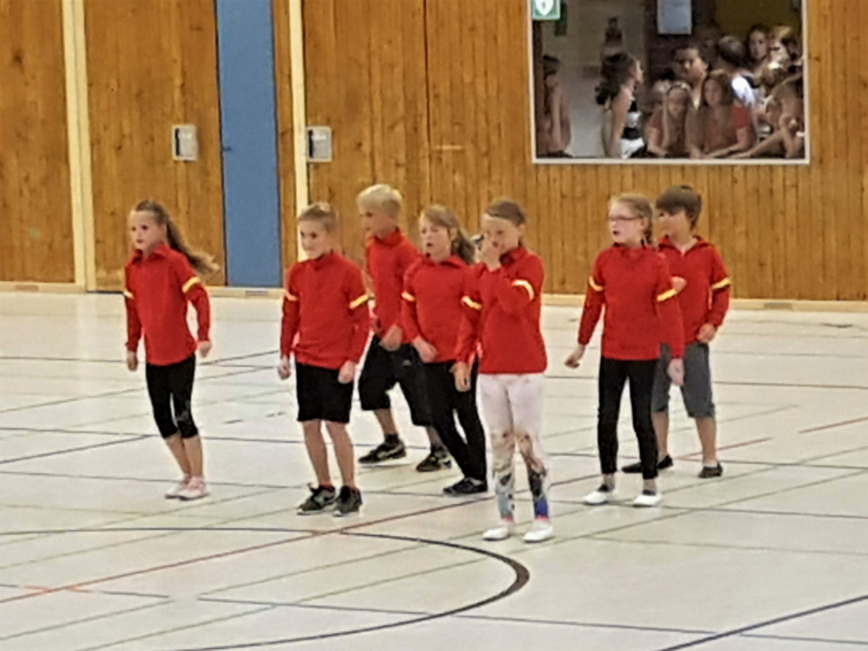 2018-07-01 Sportverein Wahlstedt (45)