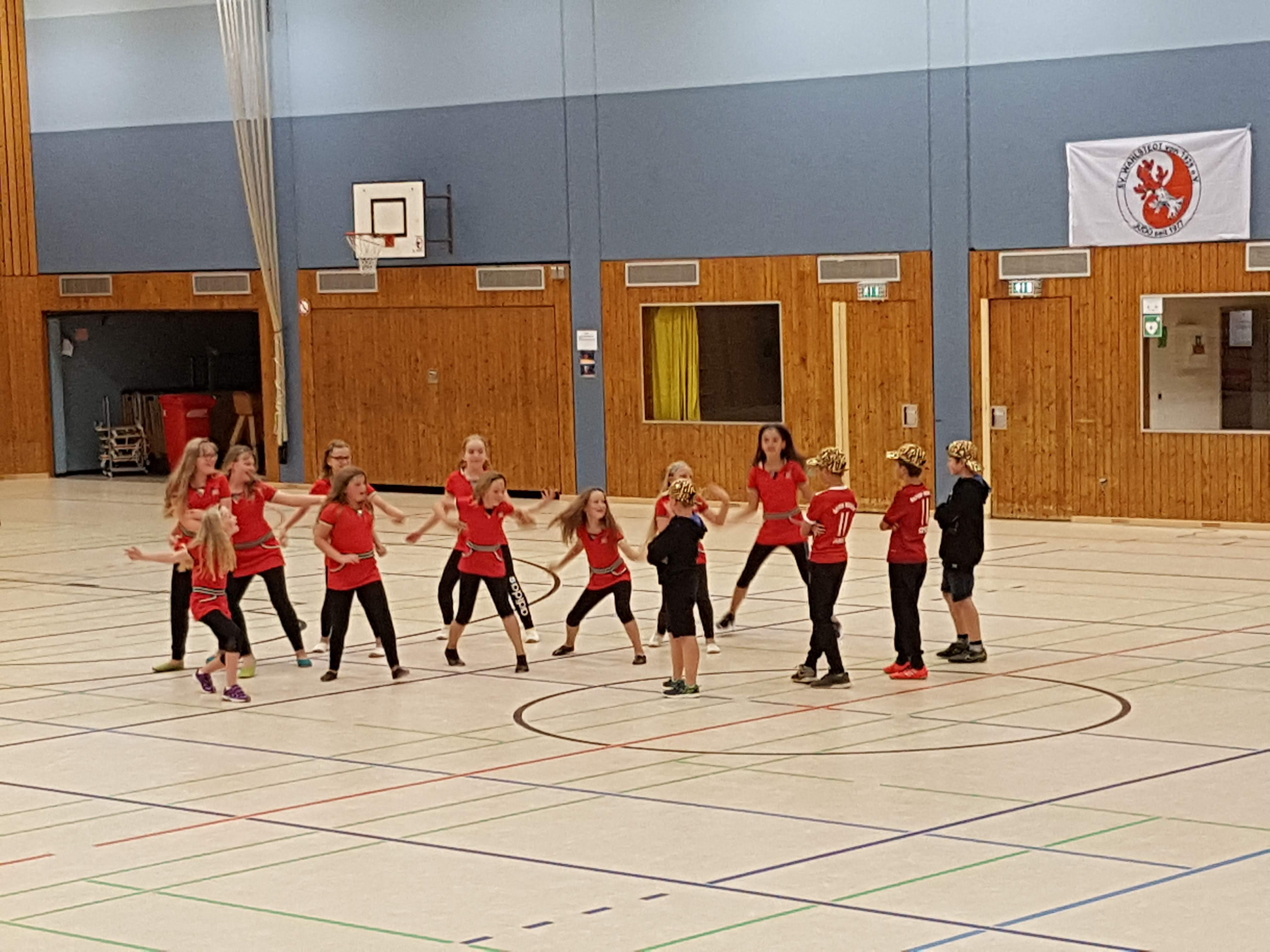 2018-07-01 Sportverein Wahlstedt (52)