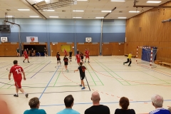 2018-07-01 Sportverein Wahlstedt (25)